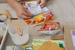 25690722-bag-033
