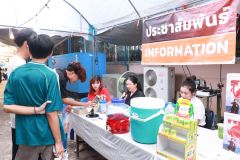 25690721-information-007