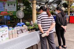 25690721-recycle-001_12