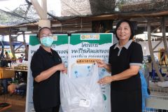 25690722-recycle-015