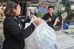 25690723-recycle-009