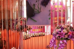 20250318-event-114