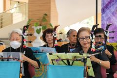 256812123-rommanee-002