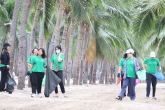 20250225-green-118