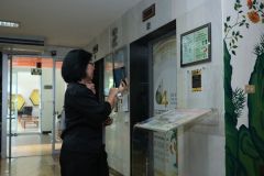 25690525-greenlibrary-055