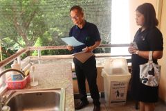 25690525-greenlibrary-137