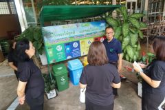 25690525-greenlibrary-154