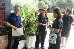 25690525-greenlibrary-159