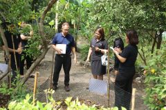 25690525-greenlibrary-161