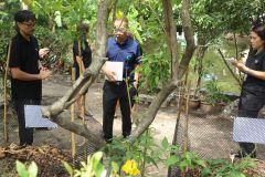 25690525-greenlibrary-162