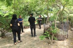 25690525-greenlibrary-163