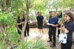 25690525-greenlibrary-164