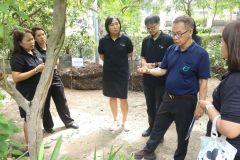 25690525-greenlibrary-165