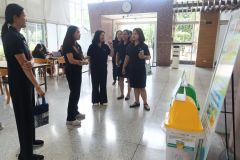 25690525-greenlibrary-169