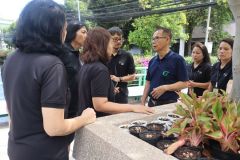 25690525-greenlibrary-184