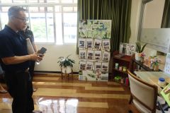 25690525-greenlibrary-186