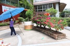 Big-Cleaning-Day-30