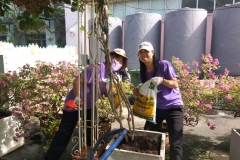 Big-Cleaning-Day-46