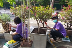 Big-Cleaning-Day-62