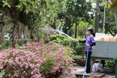 Big-Cleaning-Day-7