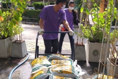 Big-Cleaning-Day-71