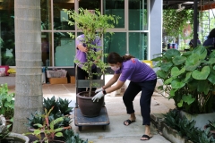 Big-Cleaning-Day-72