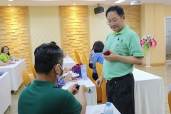 25660811-green-029
