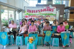 25621217-PIC0003
