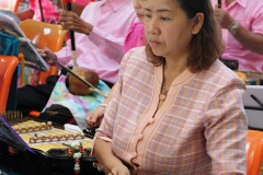 25620917-PIC0003
