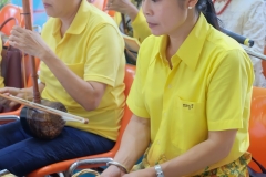 25620618-PIC0007