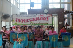 25620319-PIC0021