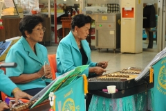 25620820-PIC0009