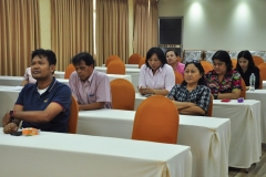 25621203-PIC0009