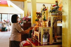Mylib-wetkao-9-1
